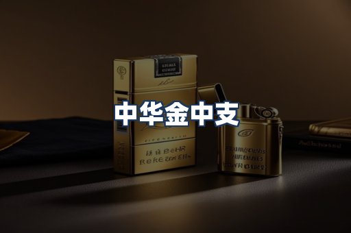 中华金中支